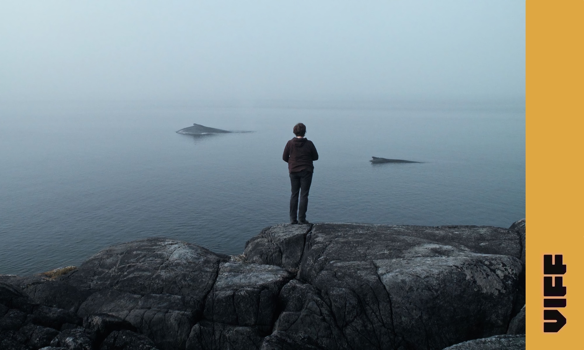 The Whale and the Raven / VIFF 2019