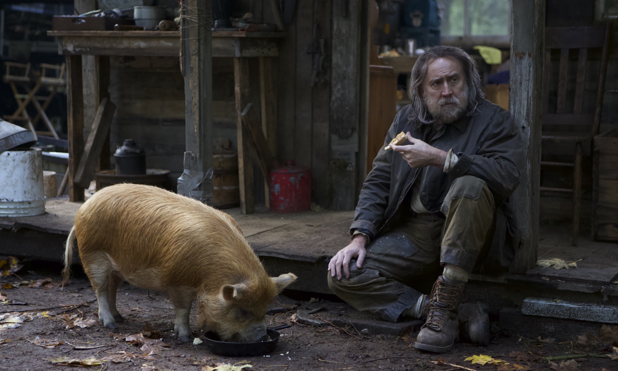 Pig